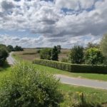 Blick aus dem Fenster