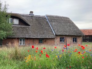 Altes Reetdachhaus in Schlagbrügge