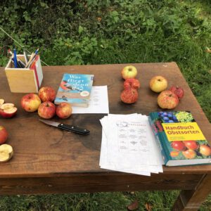 Äpfel, Bücher und Zettel liegen auf einem Tisch