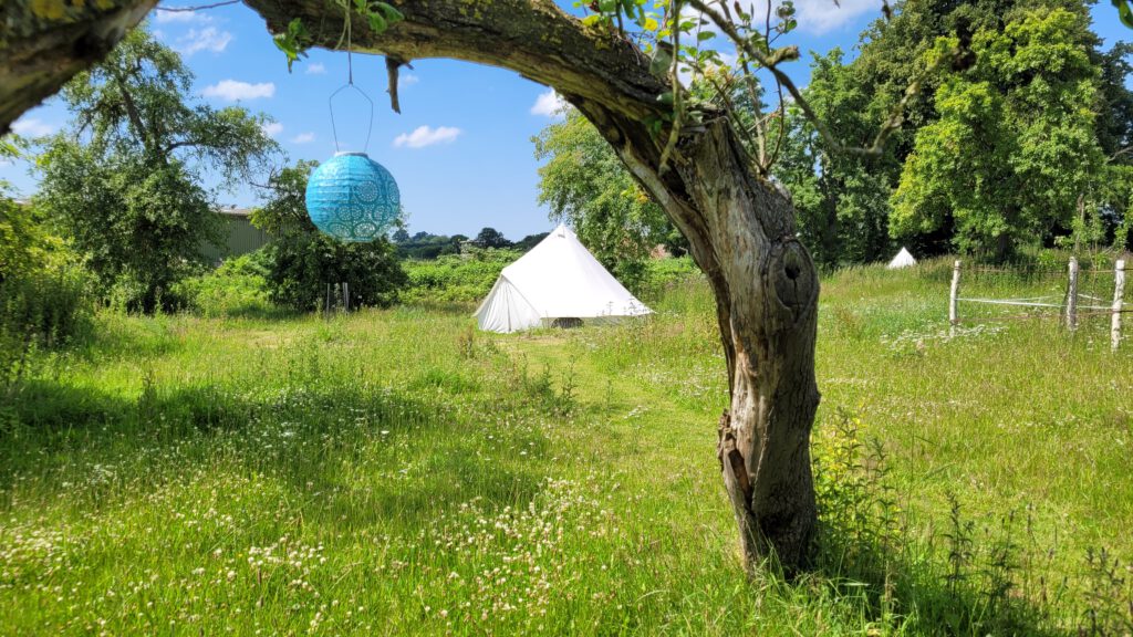 Ein Zelt auf der WandelWiese