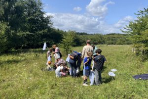 Menschen auf einer Wiese