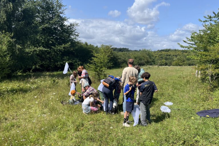 Menschen auf einer Wiese