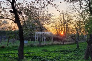 Blick in den Garten in Mechow