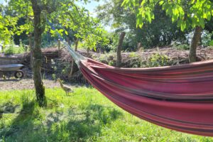 Hängematte im Garten in Mechow