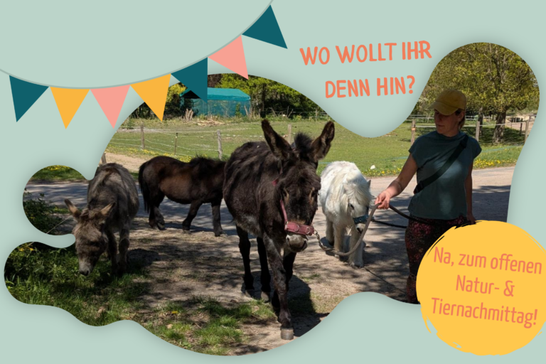 Offener Natur- und Tiernachmittag