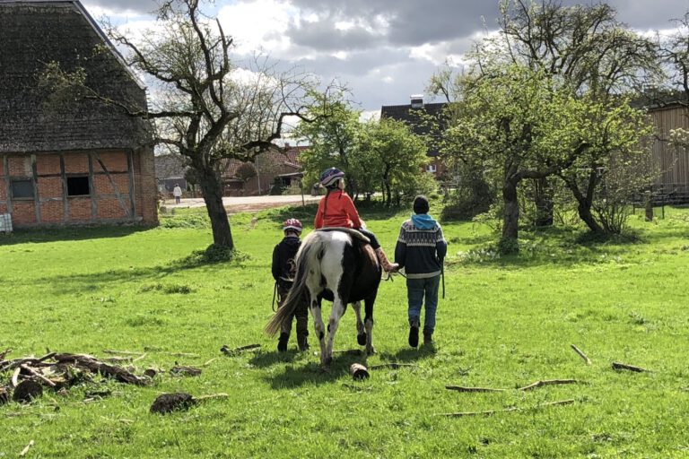 Menschen und ein Pferd