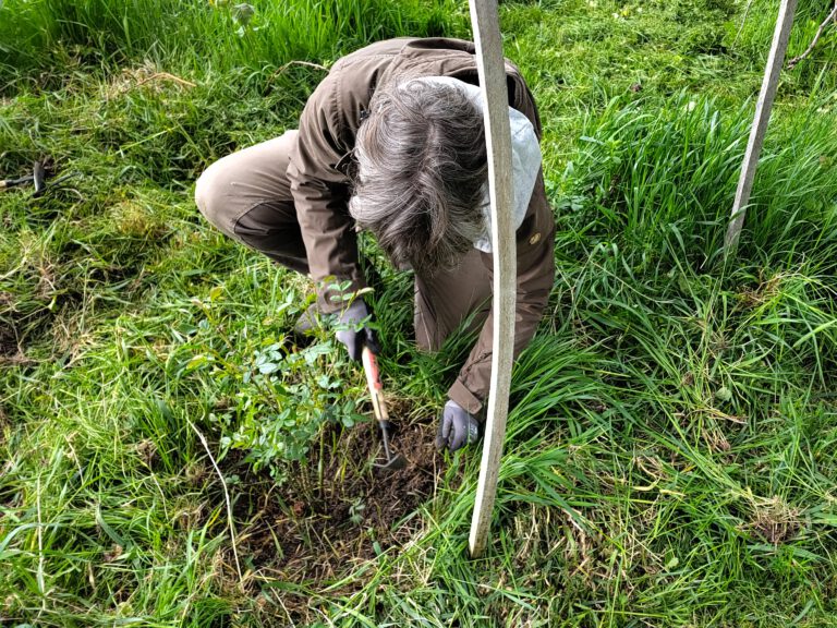 Eine Person mit Gartenwerkzeug