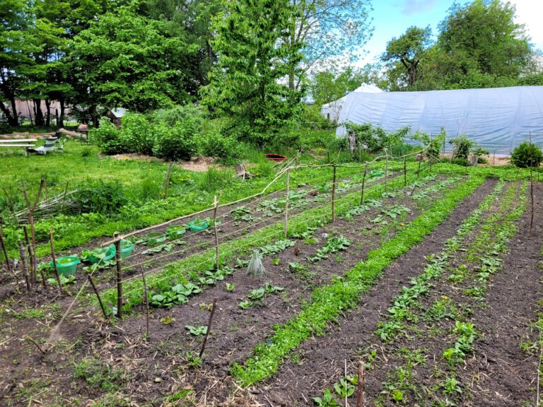 Der Garten vom WandelGut
