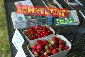 Sommerfest Titelbild