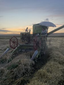 Ein Mähdrescher bei der Ernte