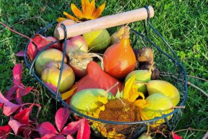 Ein Korb mit Obst und Gemüse