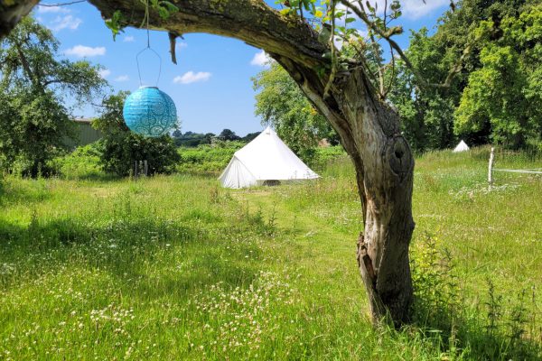 Ein Zelt auf der WandelWiese